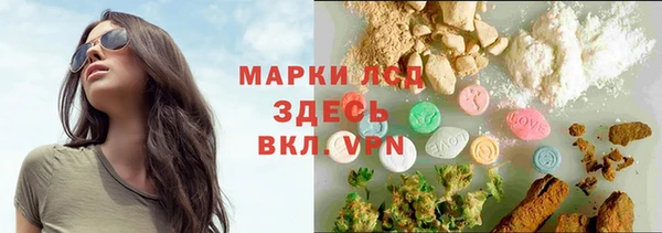 эйфоретик Беломорск