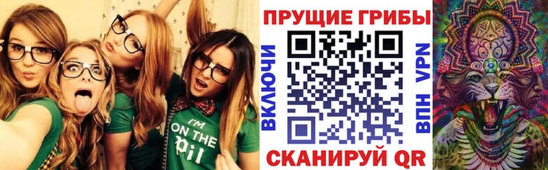 Псилоцибиновые грибы мицелий  Сердобск 