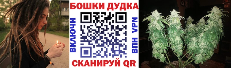 Бошки Шишки VHQ  купить   Сердобск 